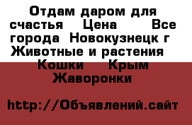 Отдам даром для счастья. › Цена ­ 1 - Все города, Новокузнецк г. Животные и растения » Кошки   . Крым,Жаворонки